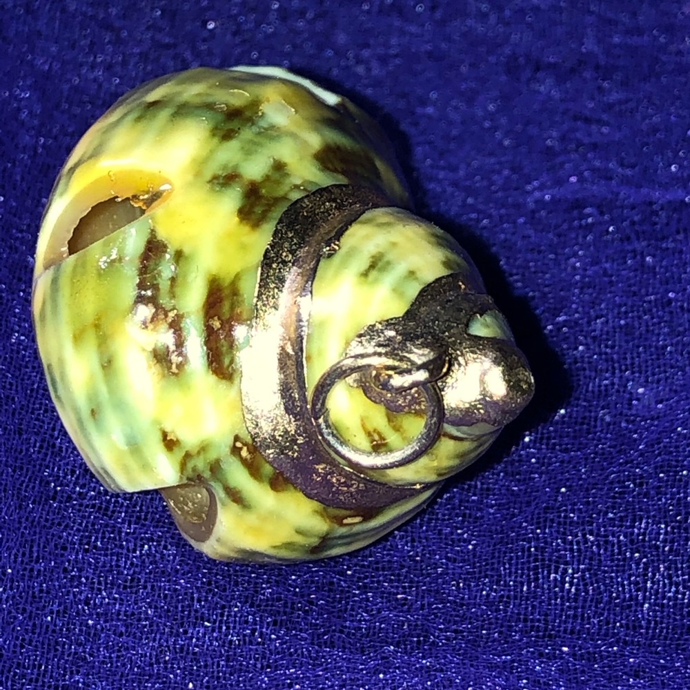 Vintage Seashell pendant 14k gilded